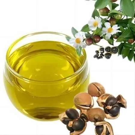 t033cebfc3b55c0a214(1)